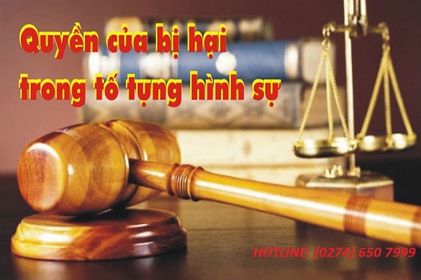 Luật Sư Bảo Vệ Cho Người Bị Hại, Người Thân Của Họ