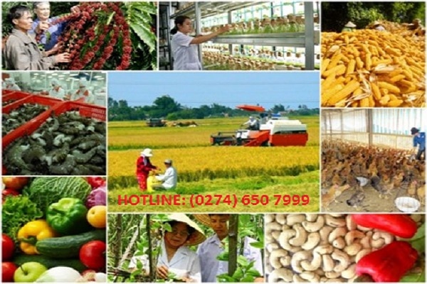 Điều kiện kinh doanh cây trồng vật nuôi