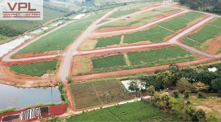 Dịch vụ tách thửa đất trồng cây lâu năm và hằng năm